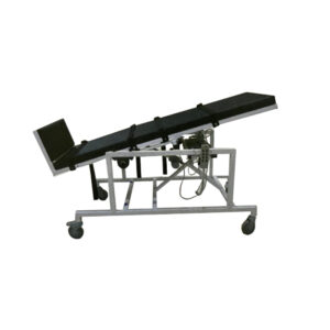 Electric Tilt Bed at AXIS Medical Solutions