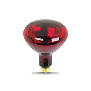 Infrared Bulb at AXIS Medical Solutions